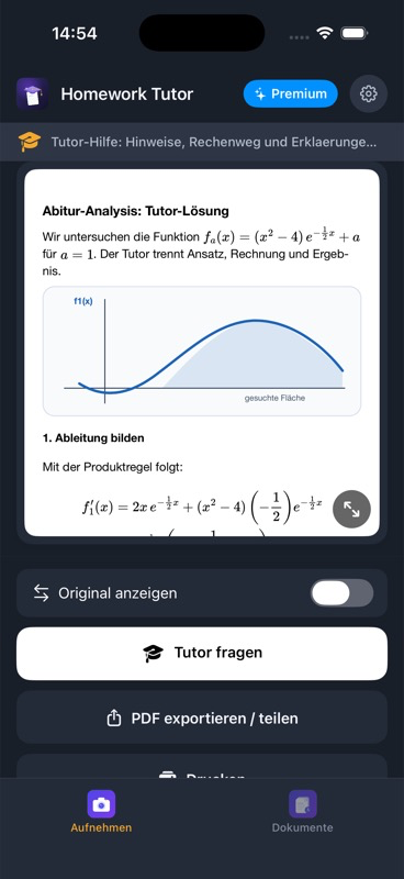 Tutor-Ergebnis mit LaTeX-Formeln und Graph